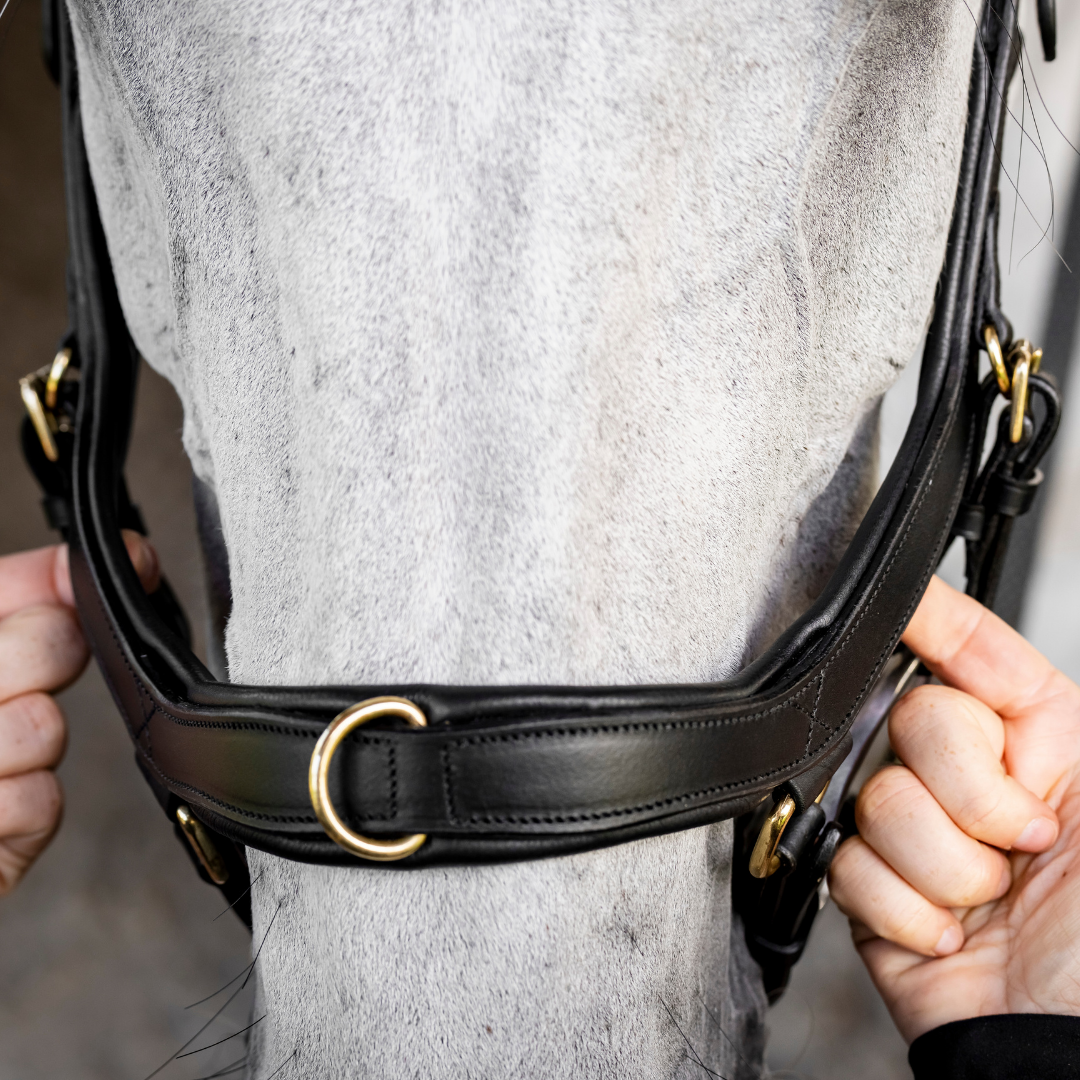 HORSEWARE MICKLEM MULTI BRIDLE - 7