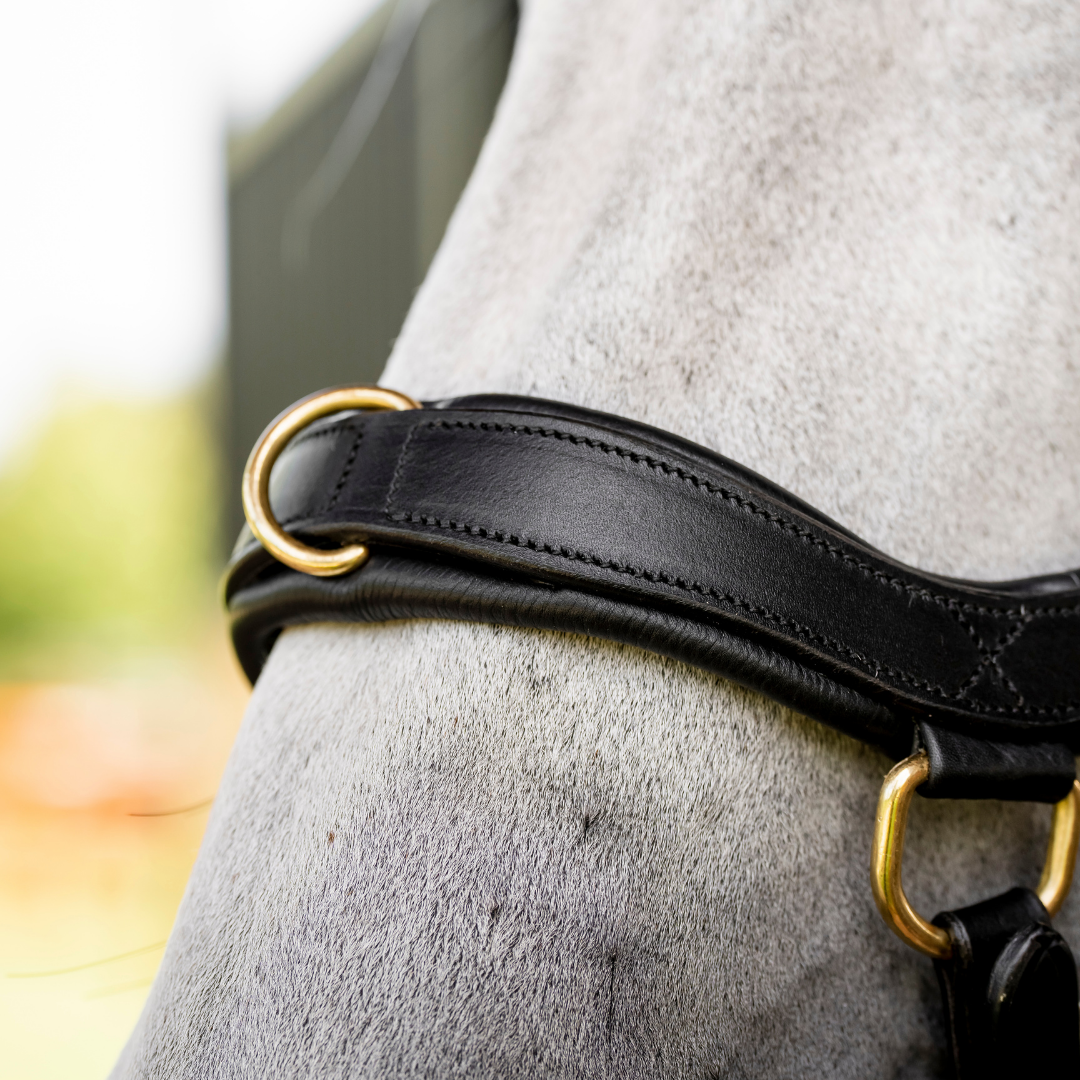 HORSEWARE MICKLEM MULTI BRIDLE - 3