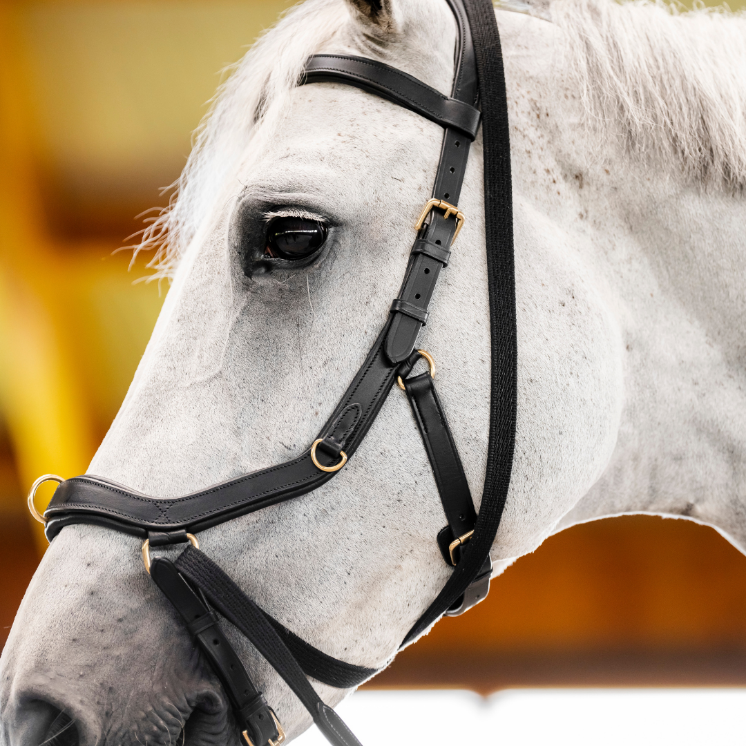 HORSEWARE MICKLEM MULTI BRIDLE - 10