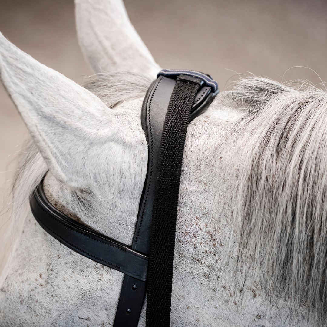 HORSEWARE MICKLEM MULTI BRIDLE - 8