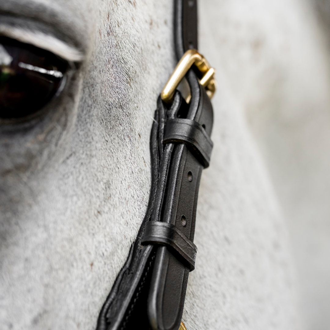 HORSEWARE MICKLEM MULTI BRIDLE - 5