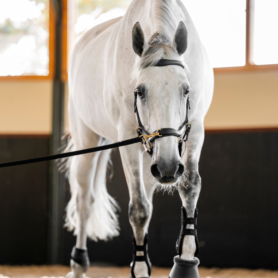 HORSEWARE MICKLEM MULTI BRIDLE - 15