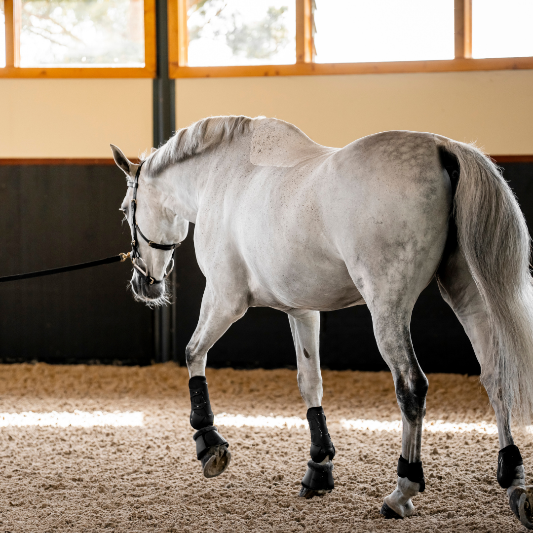 HORSEWARE MICKLEM MULTI BRIDLE - 16