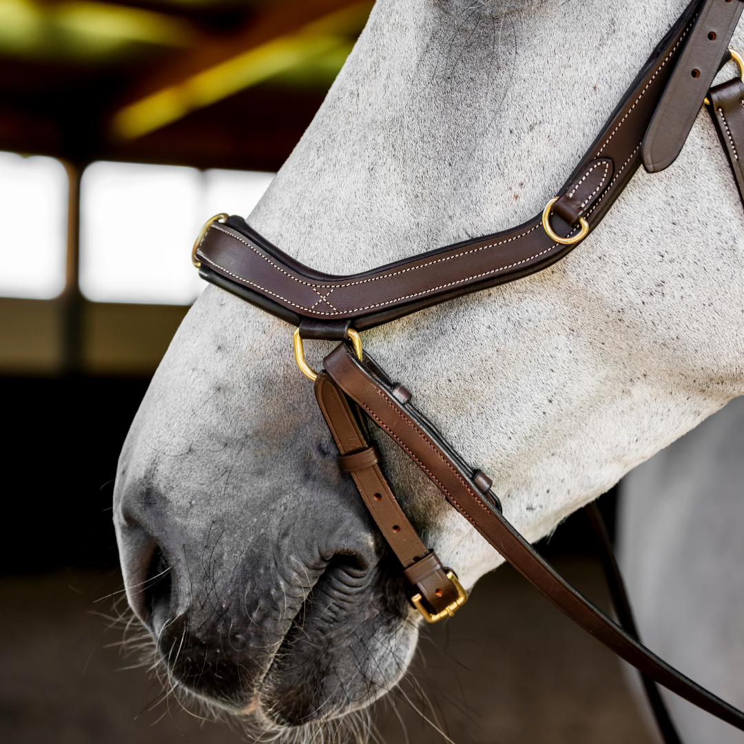HORSEWARE MICKLEM MULTI BRIDLE - 17