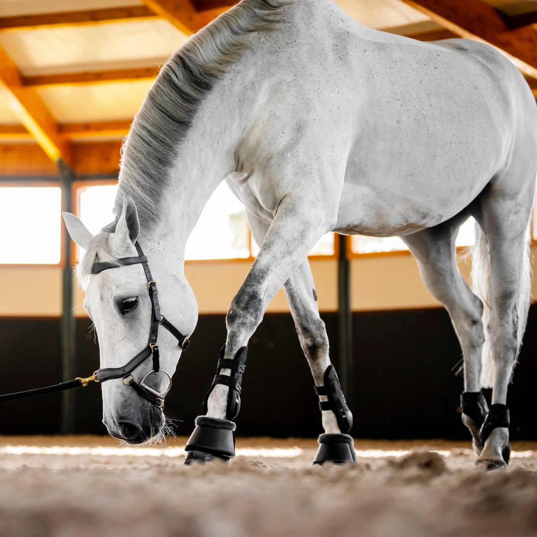 HORSEWARE MICKLEM MULTI BRIDLE - 14