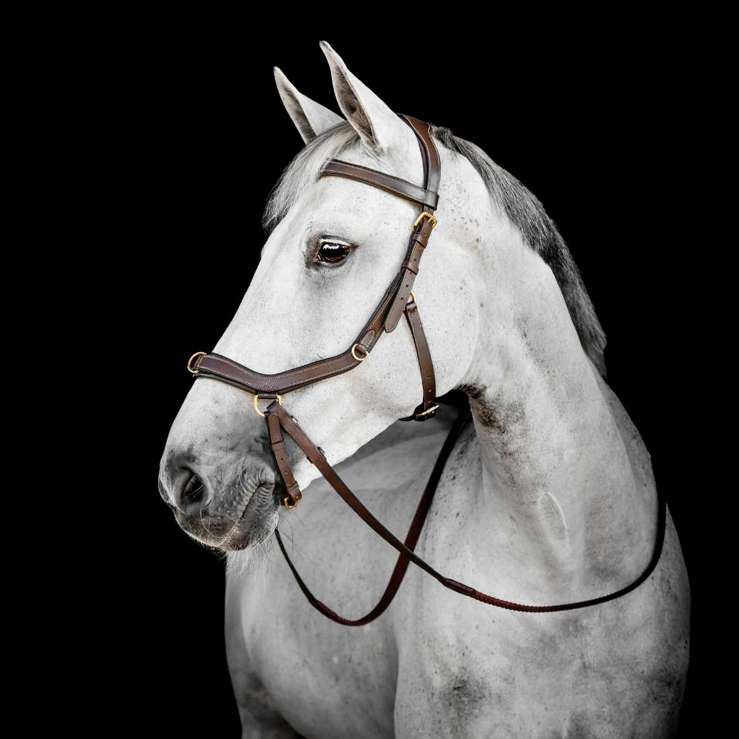 HORSEWARE MICKLEM MULTI BRIDLE