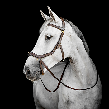 HORSEWARE MICKLEM MULTI BRIDLE