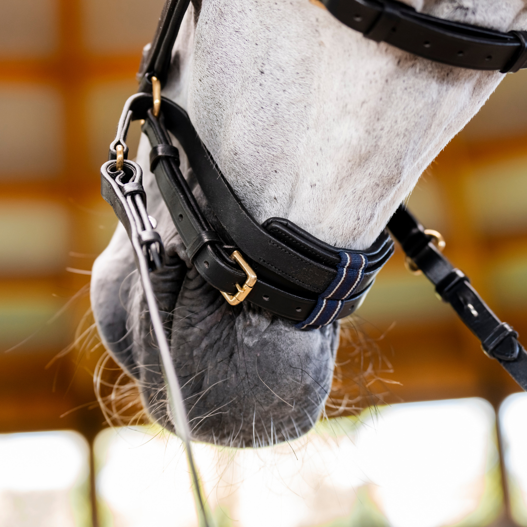 HORSEWARE MICKLEM MULTI BRIDLE - 12