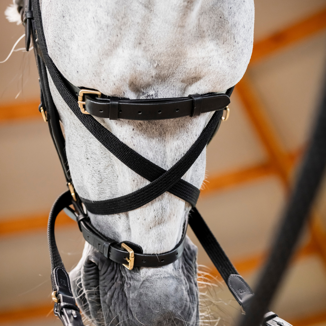 HORSEWARE MICKLEM MULTI BRIDLE - 9