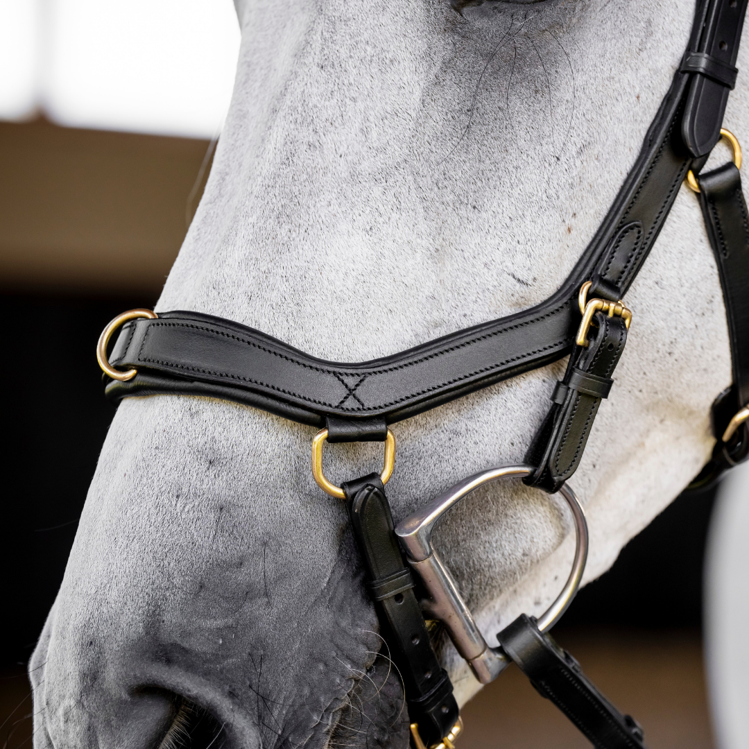 HORSEWARE MICKLEM MULTI BRIDLE - 6