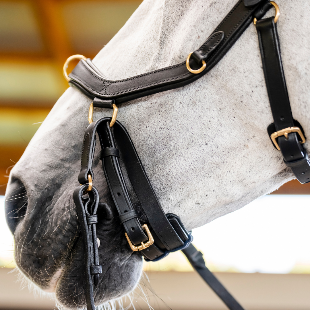 HORSEWARE MICKLEM MULTI BRIDLE - 11