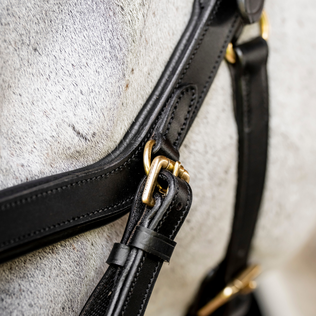 HORSEWARE MICKLEM MULTI BRIDLE - 4