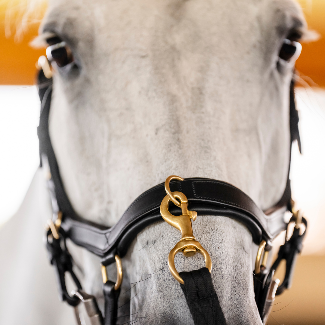 HORSEWARE MICKLEM MULTI BRIDLE - 13