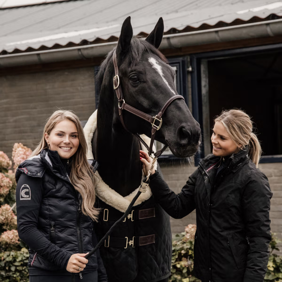 KENTUCKY SHOW RUG - BLACK - 3