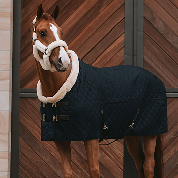 KENTUCKY SHOW RUG - BLACK