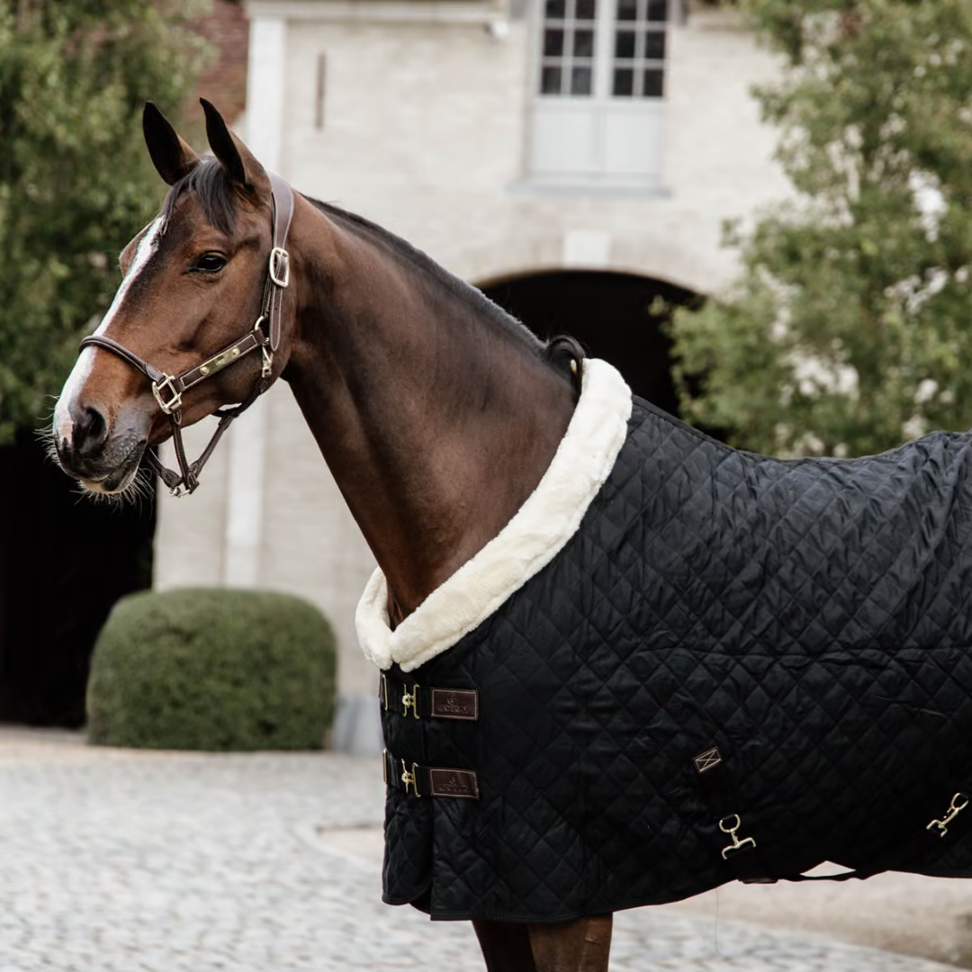 KENTUCKY SHOW RUG - BLACK - 5