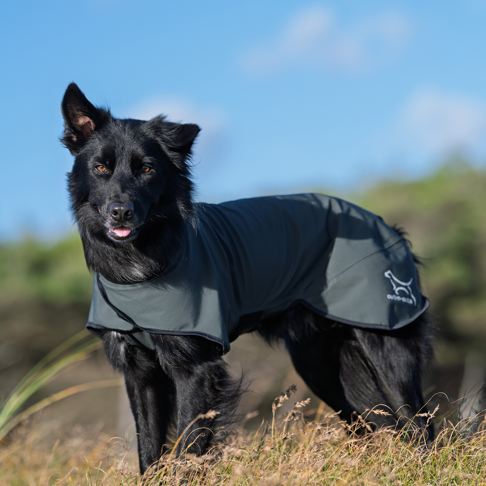 Hunde Regenmantel Neoflex (shadegreen) - 3