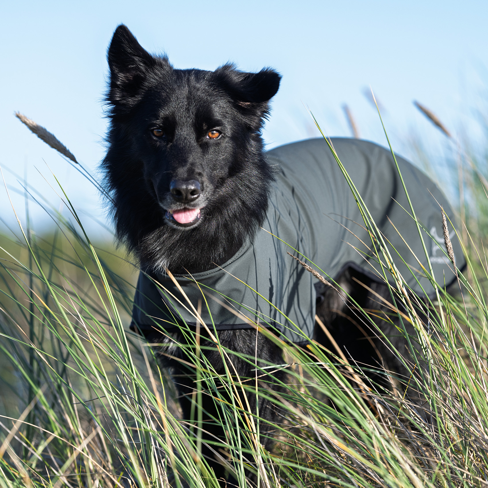 Hunde Regenmantel Neoflex (shadegreen) - 5