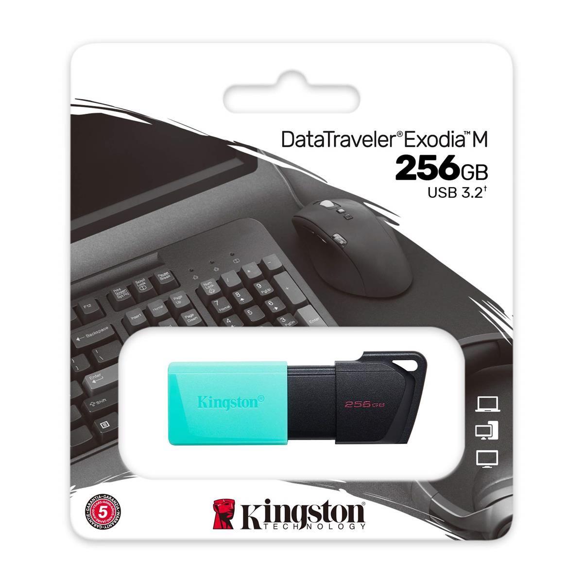 Kingston DataTraveler Exodia M 256GB - 2