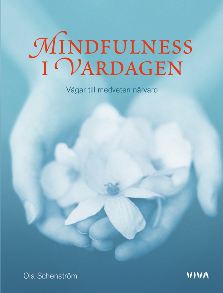 Mindfulness i vardagen -vägar till medveten närvaro
