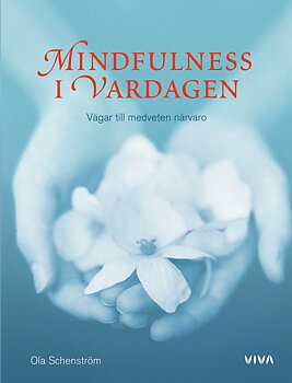 Mindfulness i vardagen -vägar till medveten närvaro