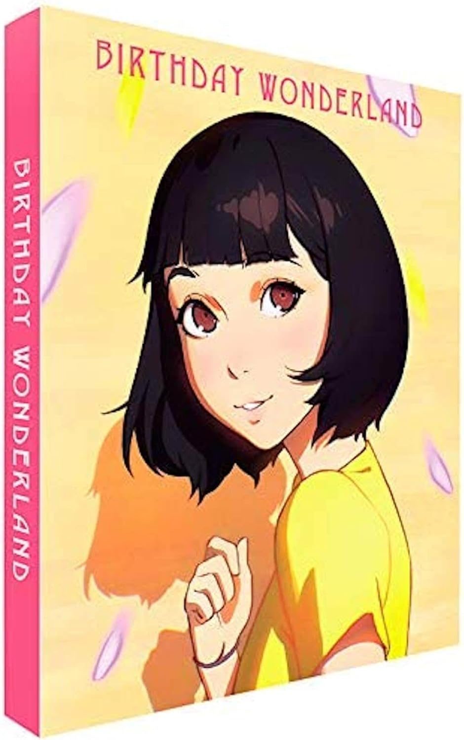 Birthday Wonderland Collectors Edition (ej svensk text) (Blu-Ray + DVD)