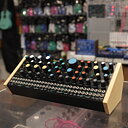 Pittsburgh Modular Taiga, beg 