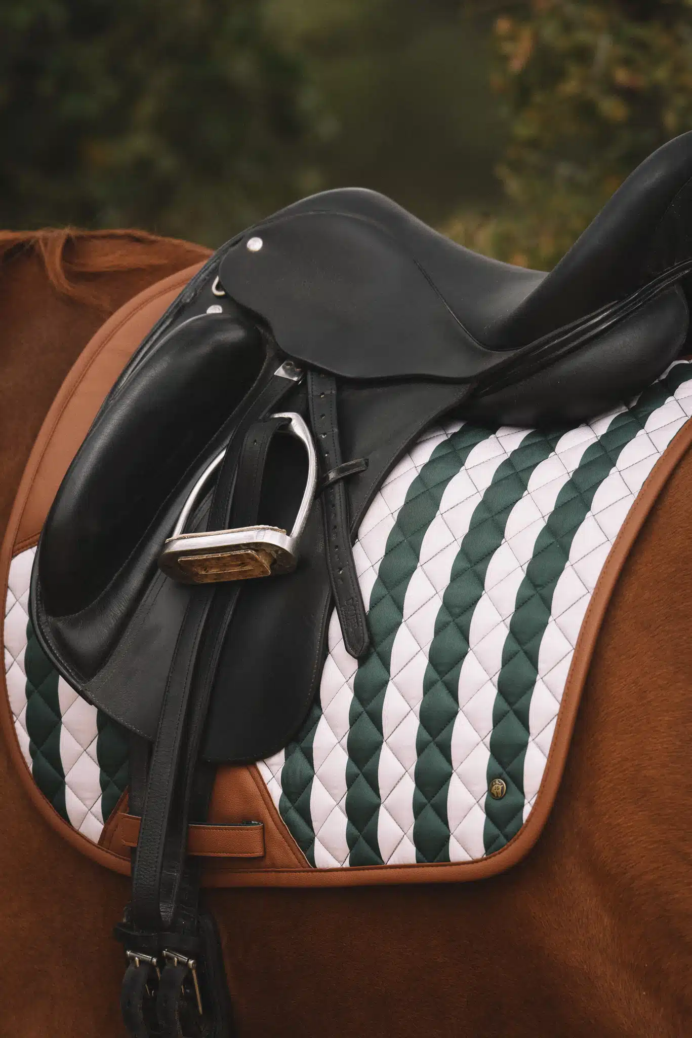 Dressyrschabrak 16C Sixteen Cypress Classic Stripe (vegan) - 4