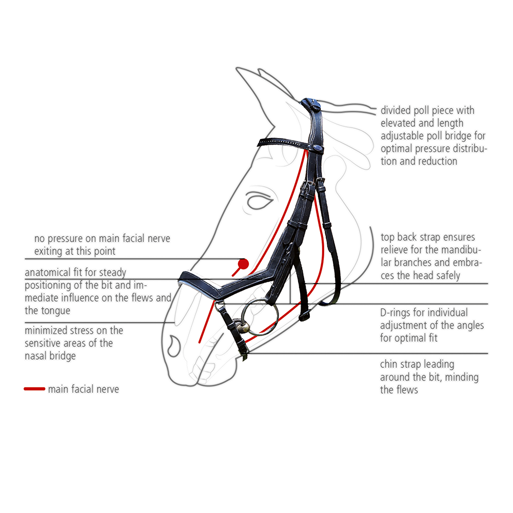 BR Feeling Anatomical Bridle (includes reins), pony - 3