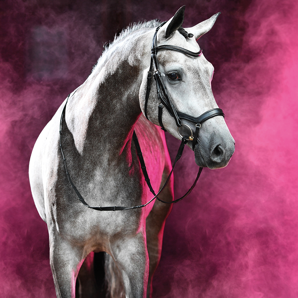 BR Feeling Anatomical Bridle (includes reins), pony - 4