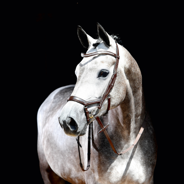 BR Anatomical Bridle "Emotion" (includes reins), pony - 2