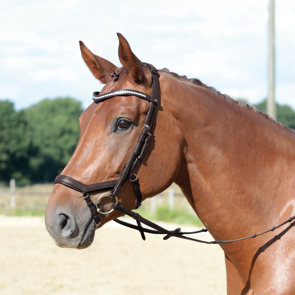 BR Anatomical Bridle "Emotion" (includes reins), pony - 3