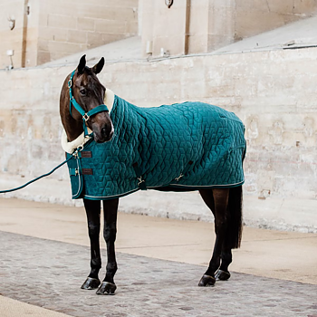 KENTUCKY SHOW RUG VELVET - EMERALD