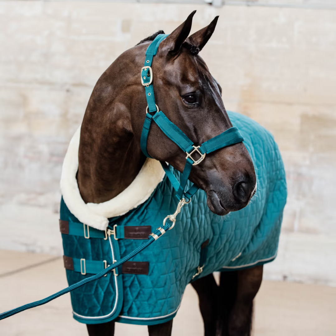 KENTUCKY SHOW RUG VELVET - EMERALD - 5