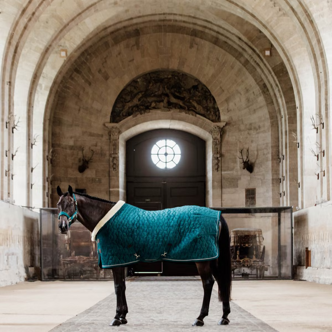KENTUCKY SHOW RUG VELVET - EMERALD - 2