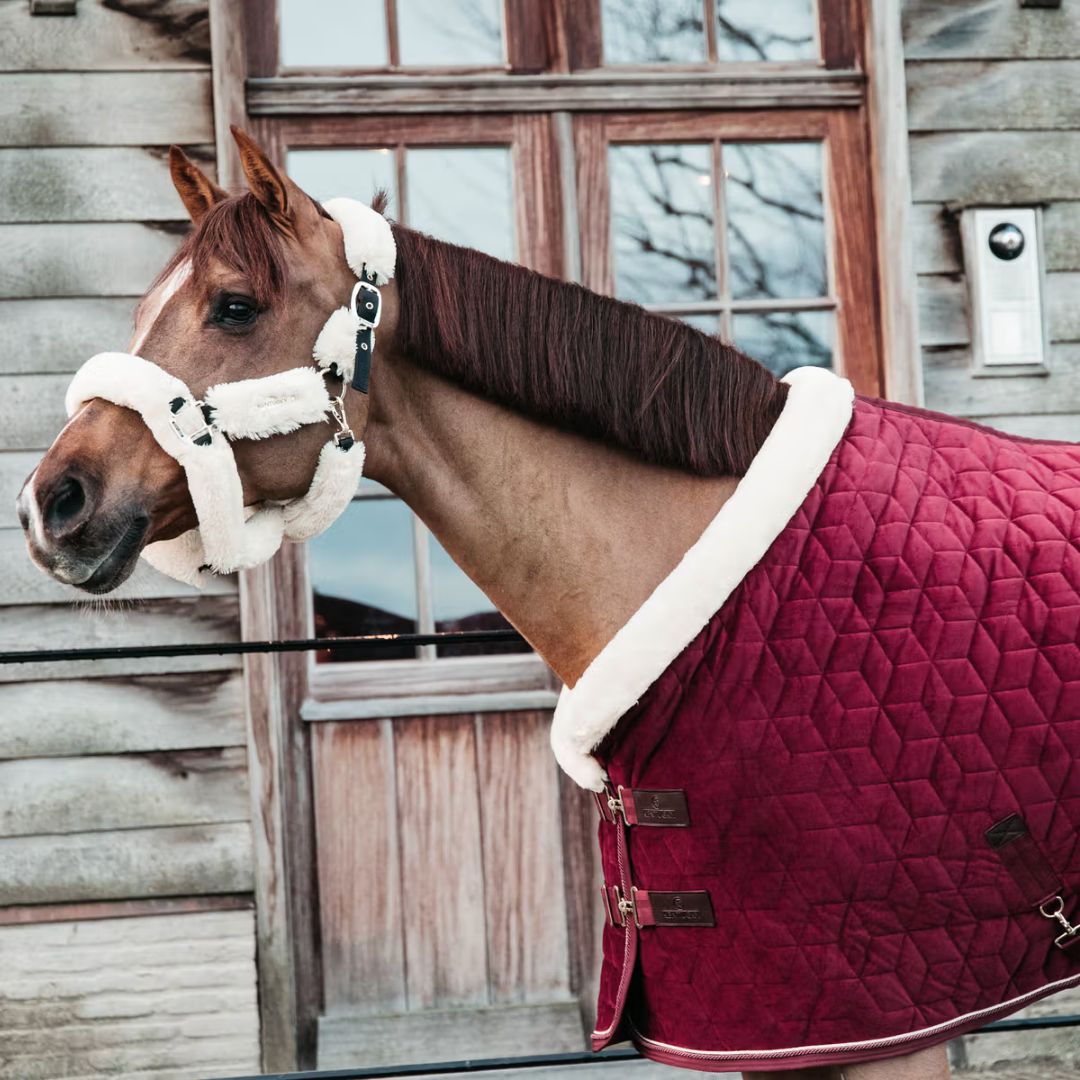 KENTUCKY SHOW RUG VELVET - BORDEAUX - 3
