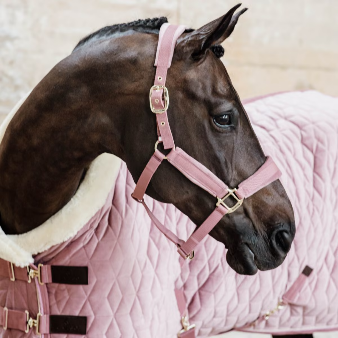 KENTUCKY SHOW RUG VELVET - OLD ROSE - 7