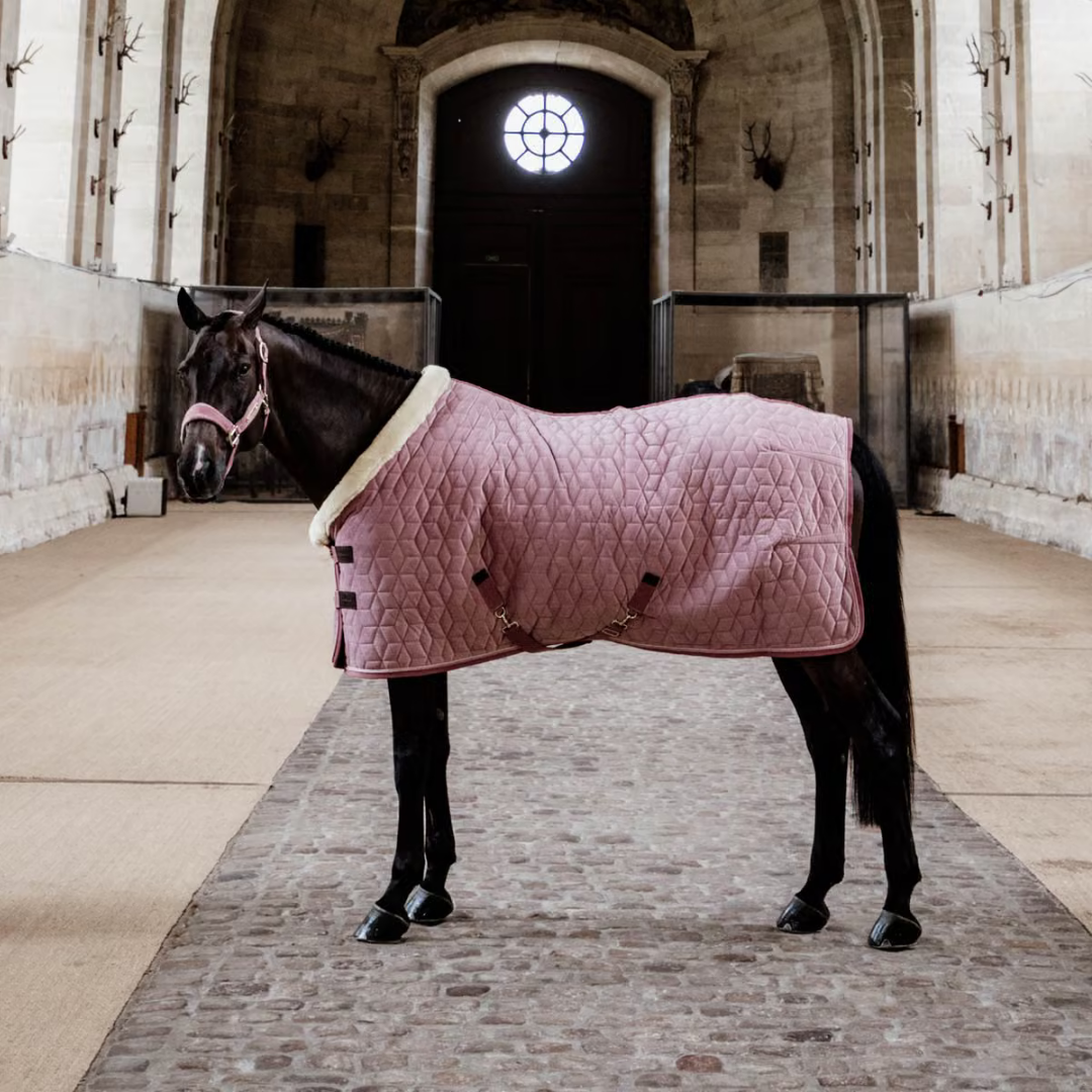 KENTUCKY SHOW RUG VELVET - OLD ROSE - 6