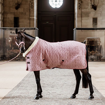 KENTUCKY SHOW RUG VELVET - OLD ROSE