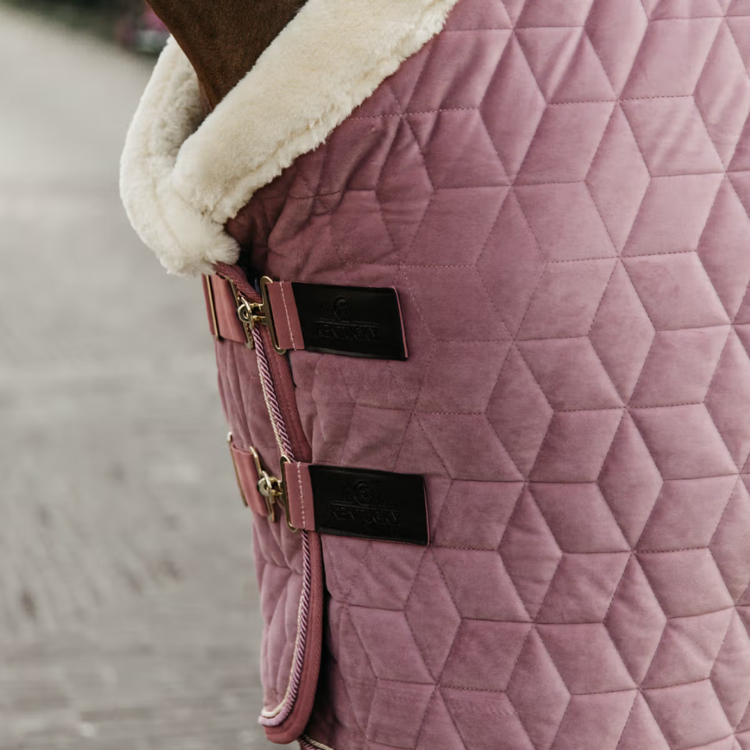 KENTUCKY SHOW RUG VELVET - OLD ROSE - 4