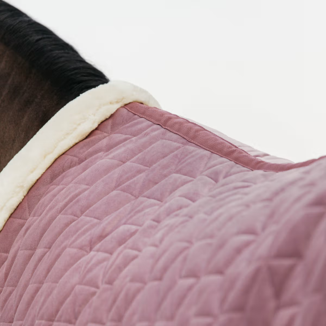 KENTUCKY SHOW RUG VELVET - OLD ROSE - 5