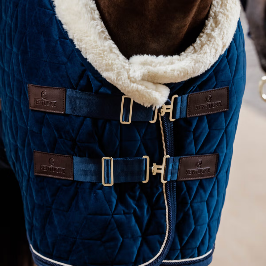 KENTUCKY SHOW RUG VELVET - NAVY - 3