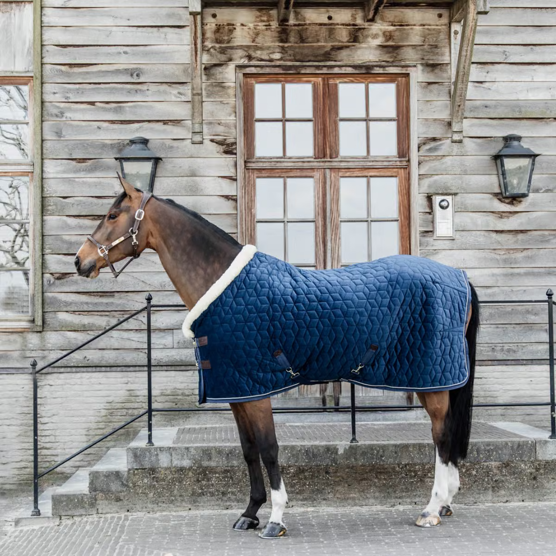 KENTUCKY SHOW RUG VELVET - NAVY