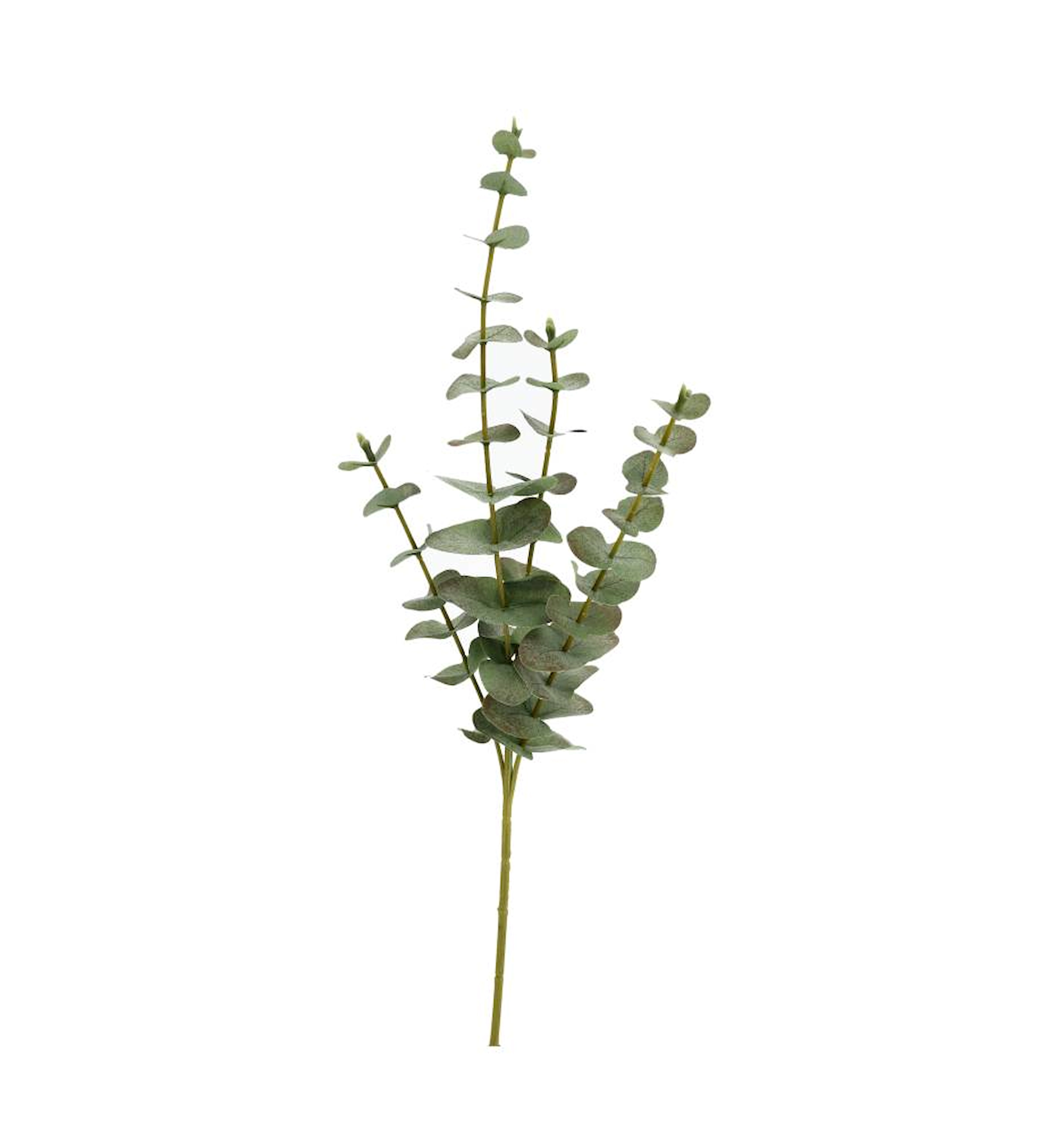Konstväxt Eukalyptus Grön - 59 cm 