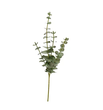 Konstväxt Eukalyptus Grön - 59 cm 