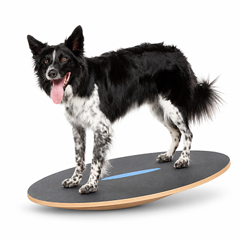 FitPAWS Wobble Board
