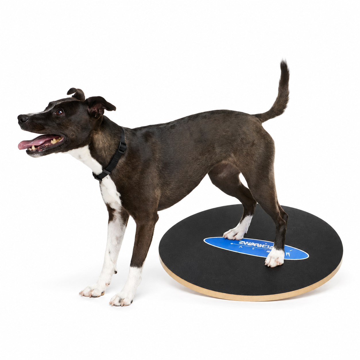 FitPAWS Wobble Board - 4