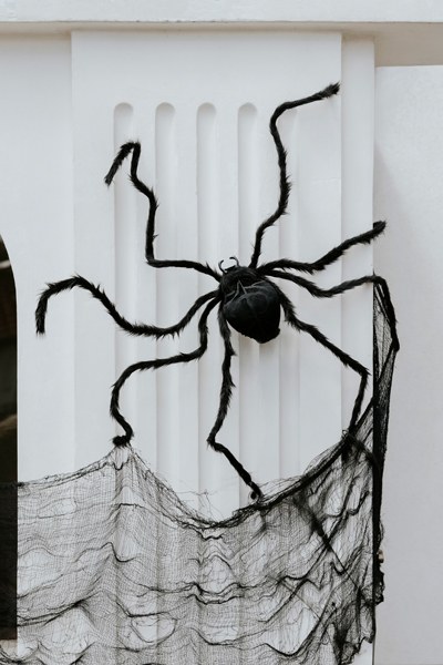 Stor svart spindel som Halloween-dekoration på vägg