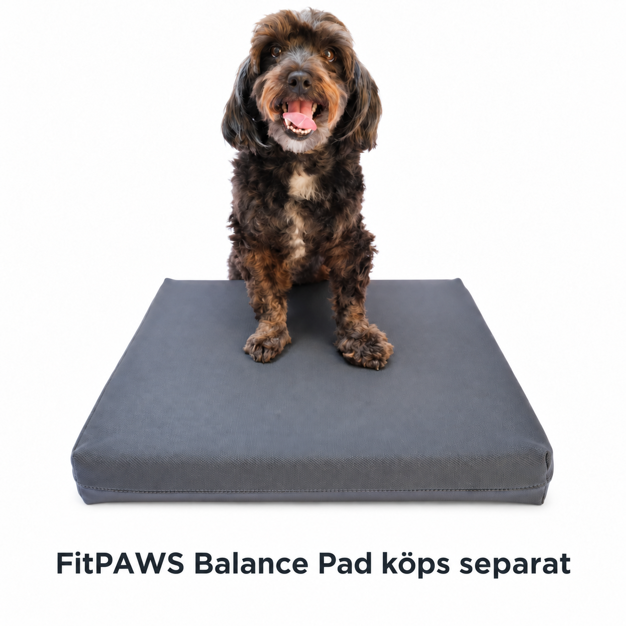 FitPAWS –  Balance Pad Grip Cover - 3