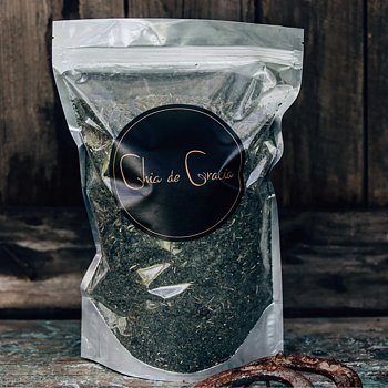 CHIA DE GRACIA STINGING NETTLE